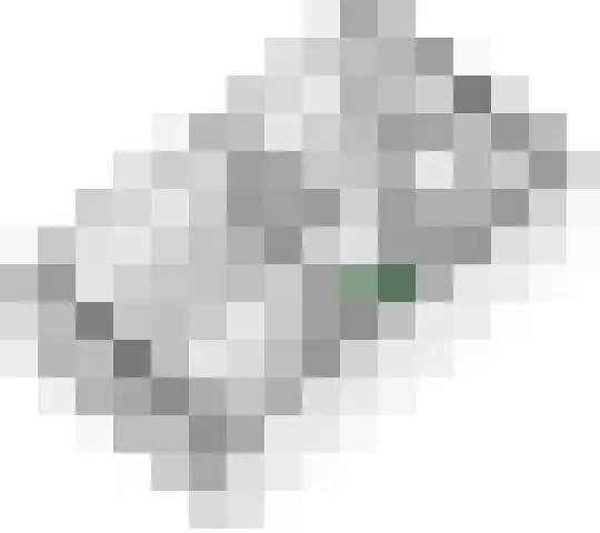 Vlagzalm 11 Tiel thumbnail 63