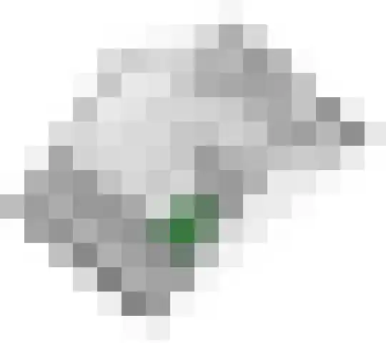 Vlagzalm 11 Tiel thumbnail 65