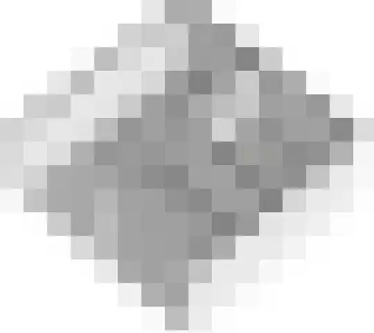 Vlagzalm 11 Tiel thumbnail 67