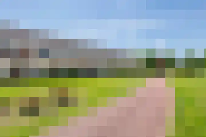 Vlagzalm 11 Tiel thumbnail 7