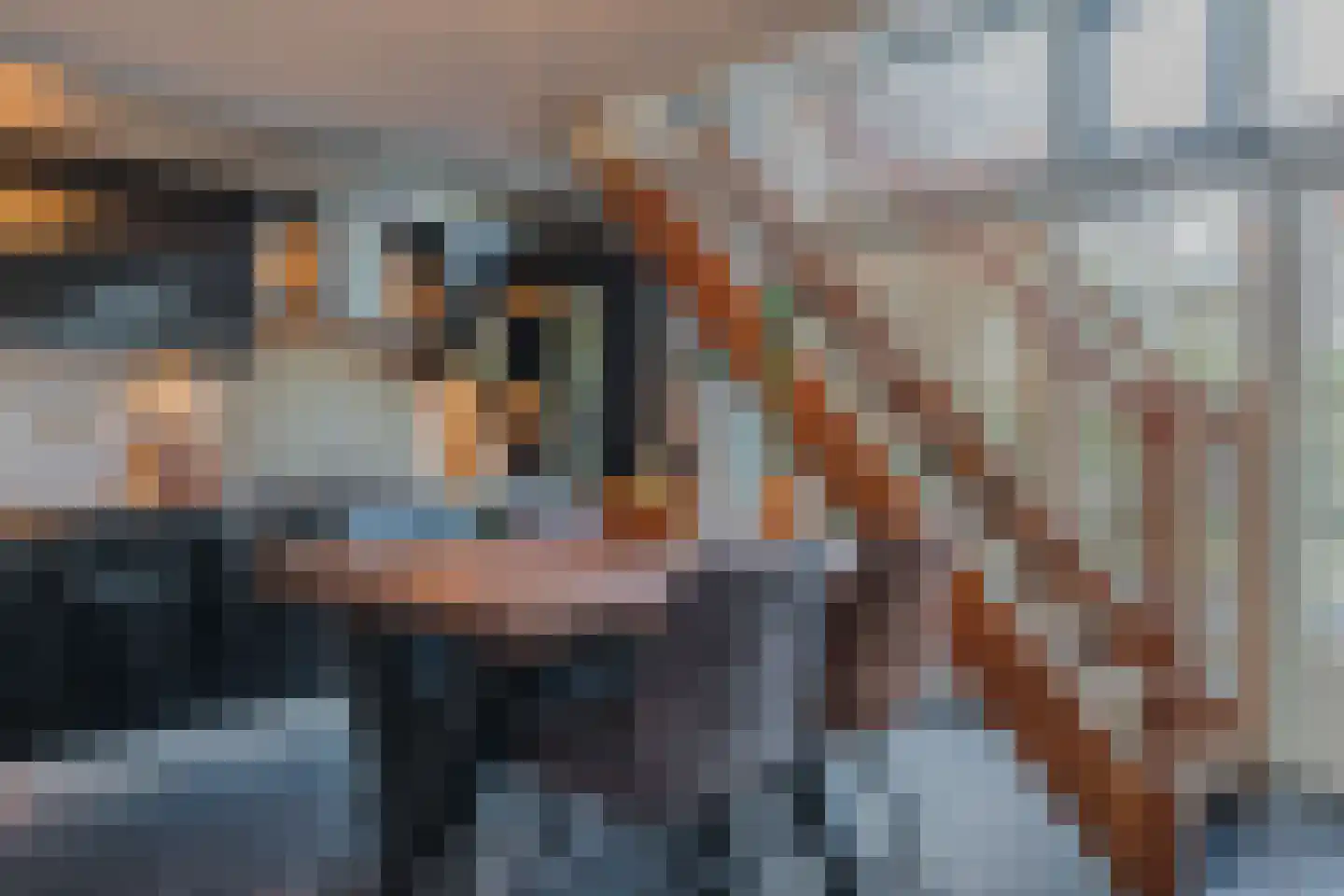 Vlakeind 10 Best thumbnail 25