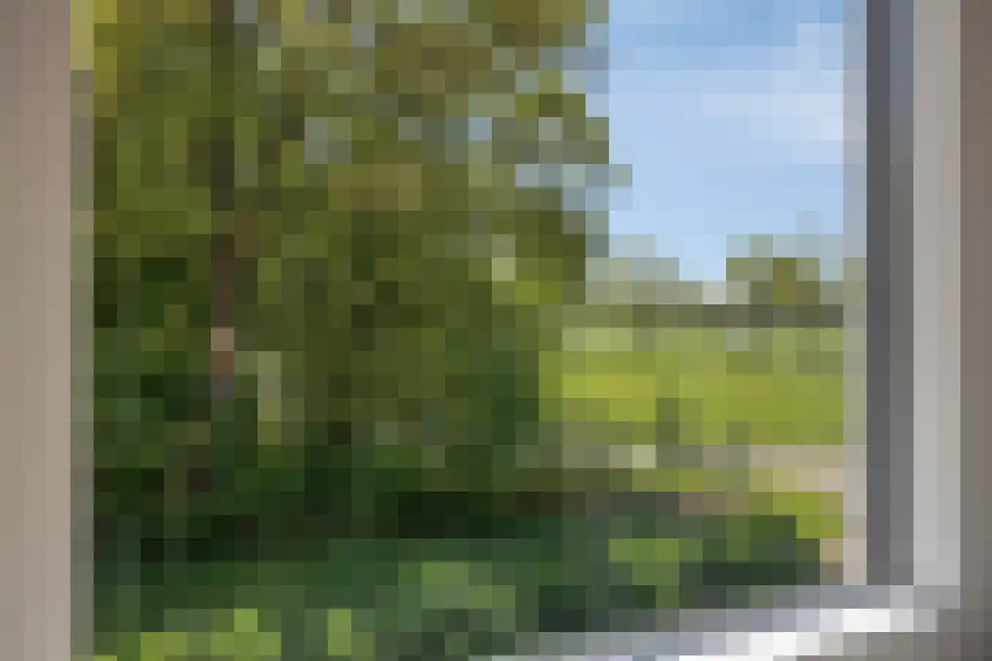 Vlakkeeweg 8 Varsseveld thumbnail 29