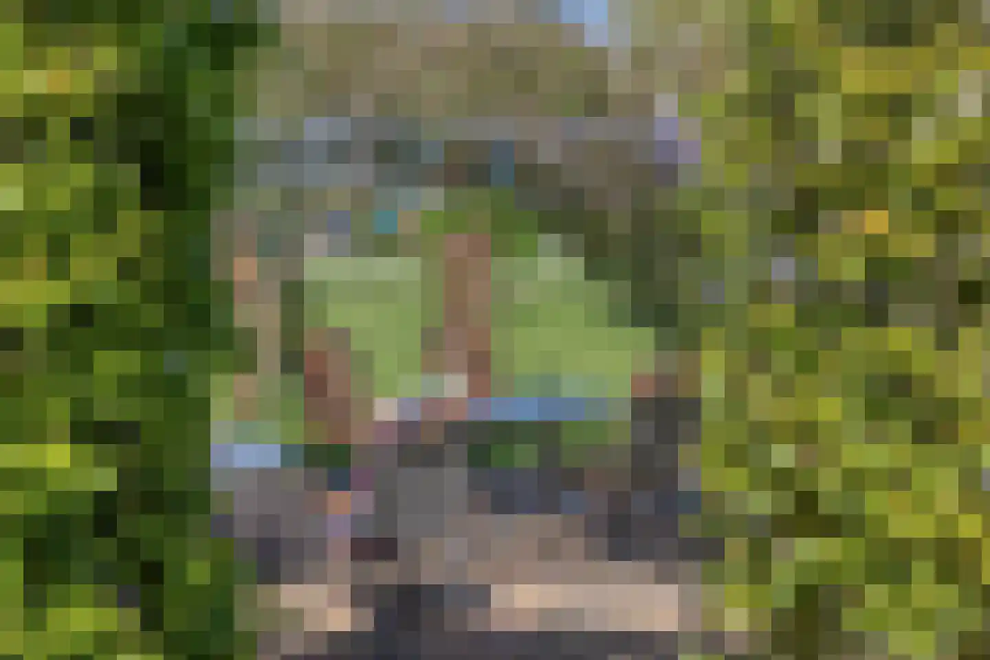 Vlakkeeweg 8 Varsseveld thumbnail 55