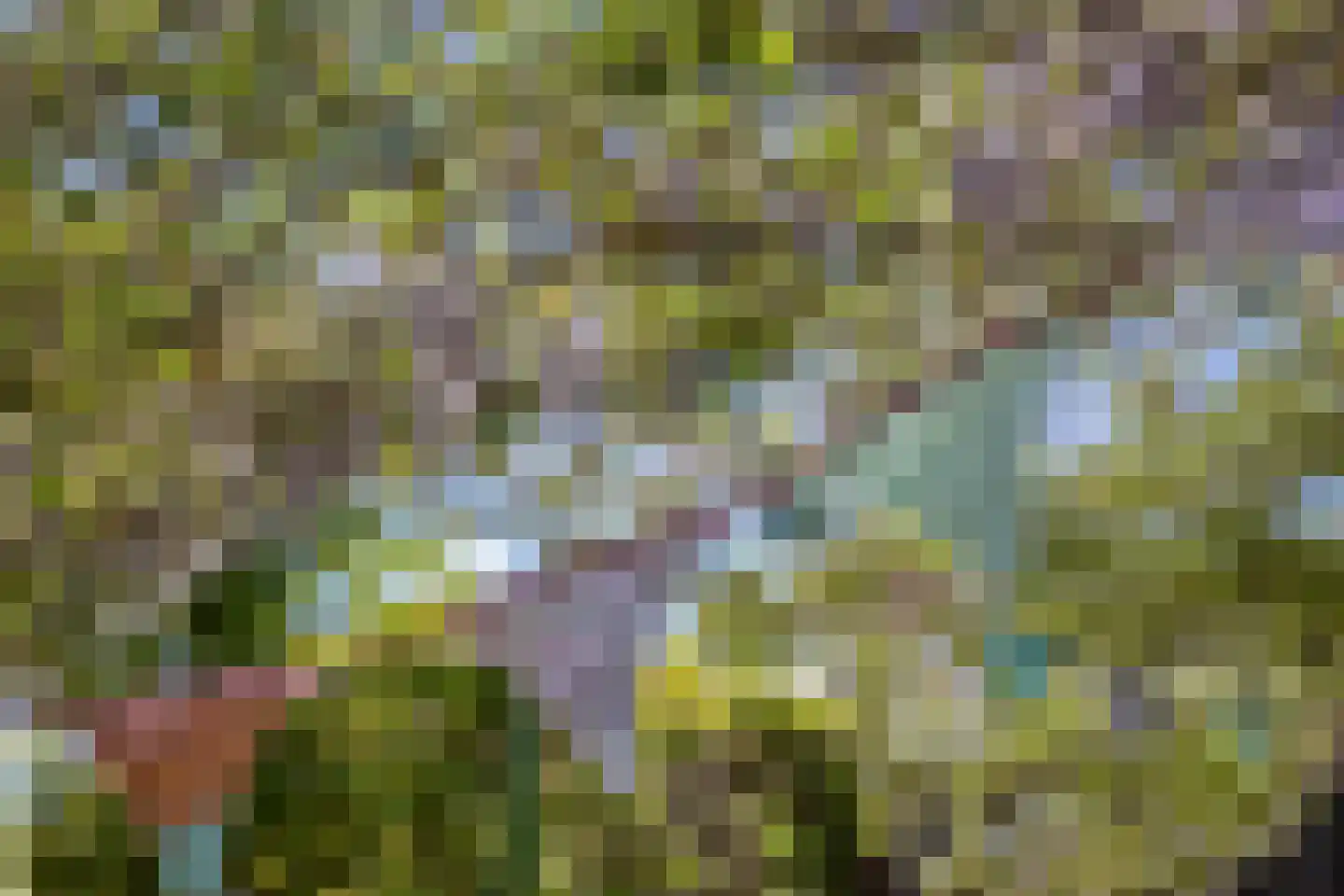 Vlakkeeweg 8 Varsseveld thumbnail 58
