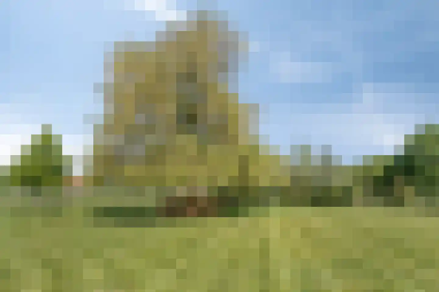 Vlakkeeweg 8 Varsseveld thumbnail 64
