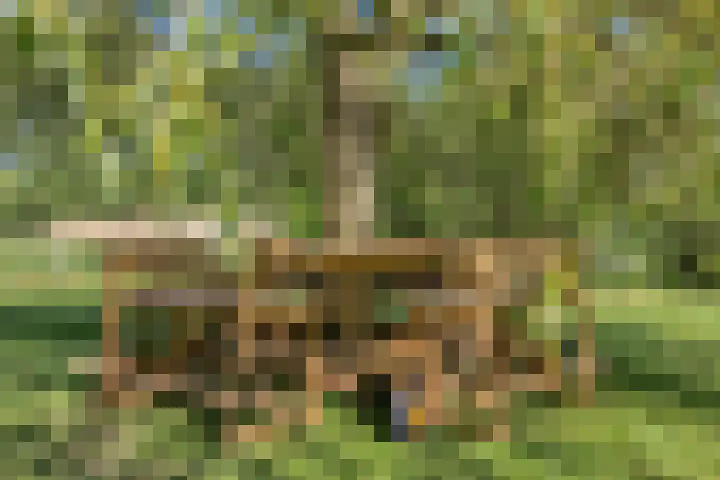 Vlakkeeweg 8 Varsseveld thumbnail 65