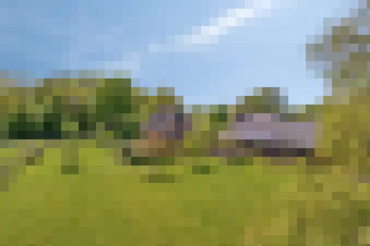 Vlakkeeweg 8 Varsseveld thumbnail 69