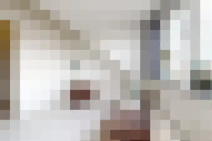Vlakkekreek 27 Willemstad thumbnail 66