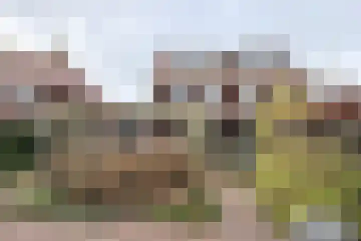 Vlakkekreek 27 Willemstad thumbnail 74