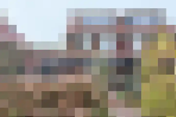 Vlakkekreek 27 Willemstad thumbnail 75