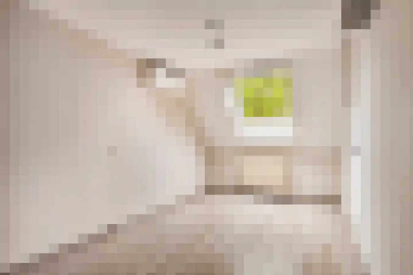 Vlakkers 14 Druten thumbnail 17