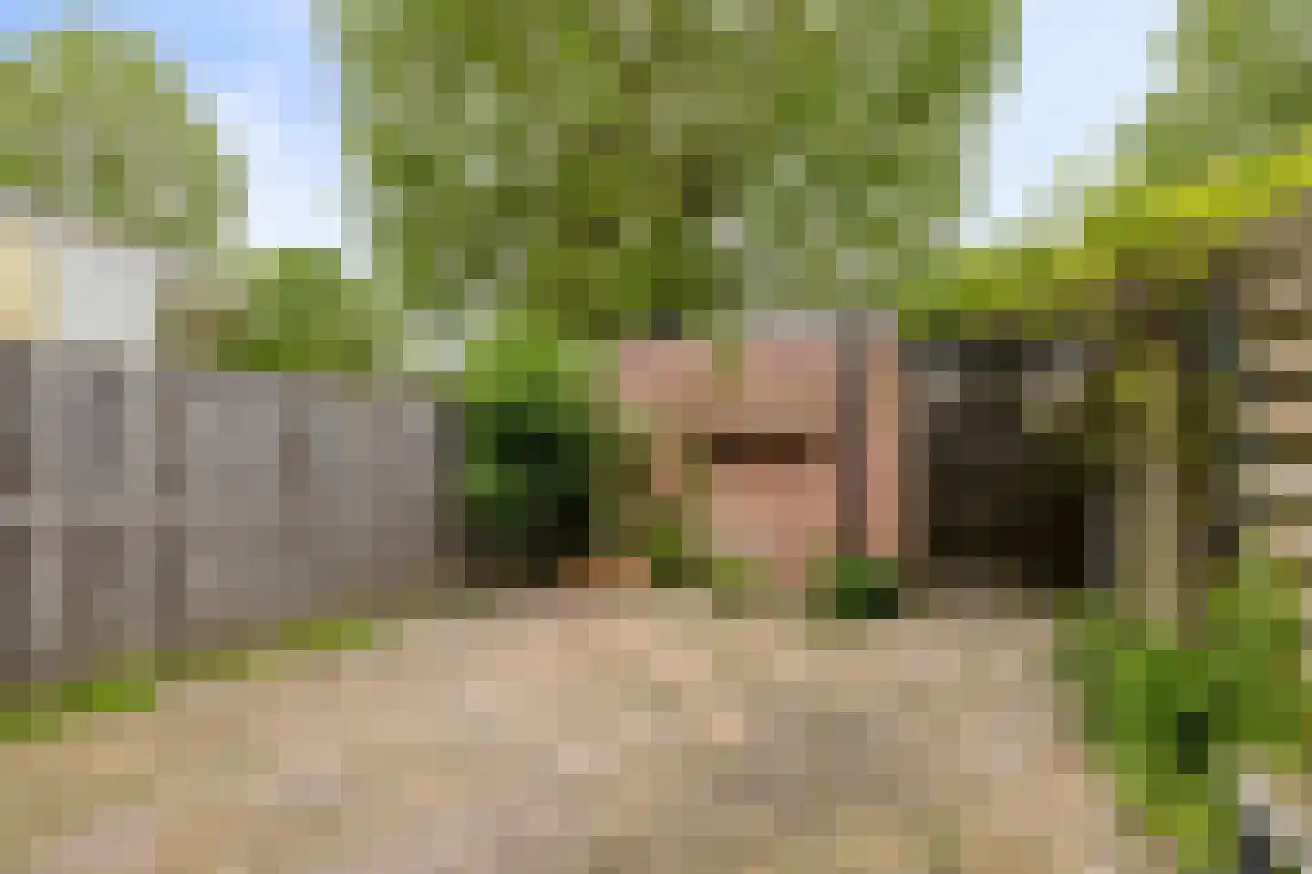 Vlakkers 14 Druten thumbnail 31