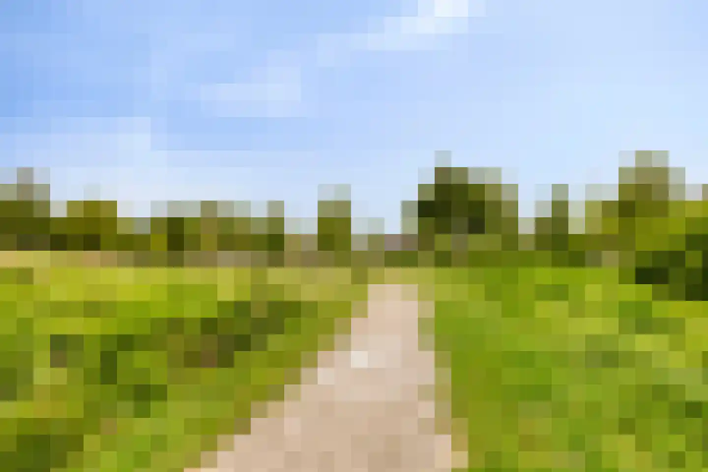 Vlakkers 14 Druten thumbnail 32