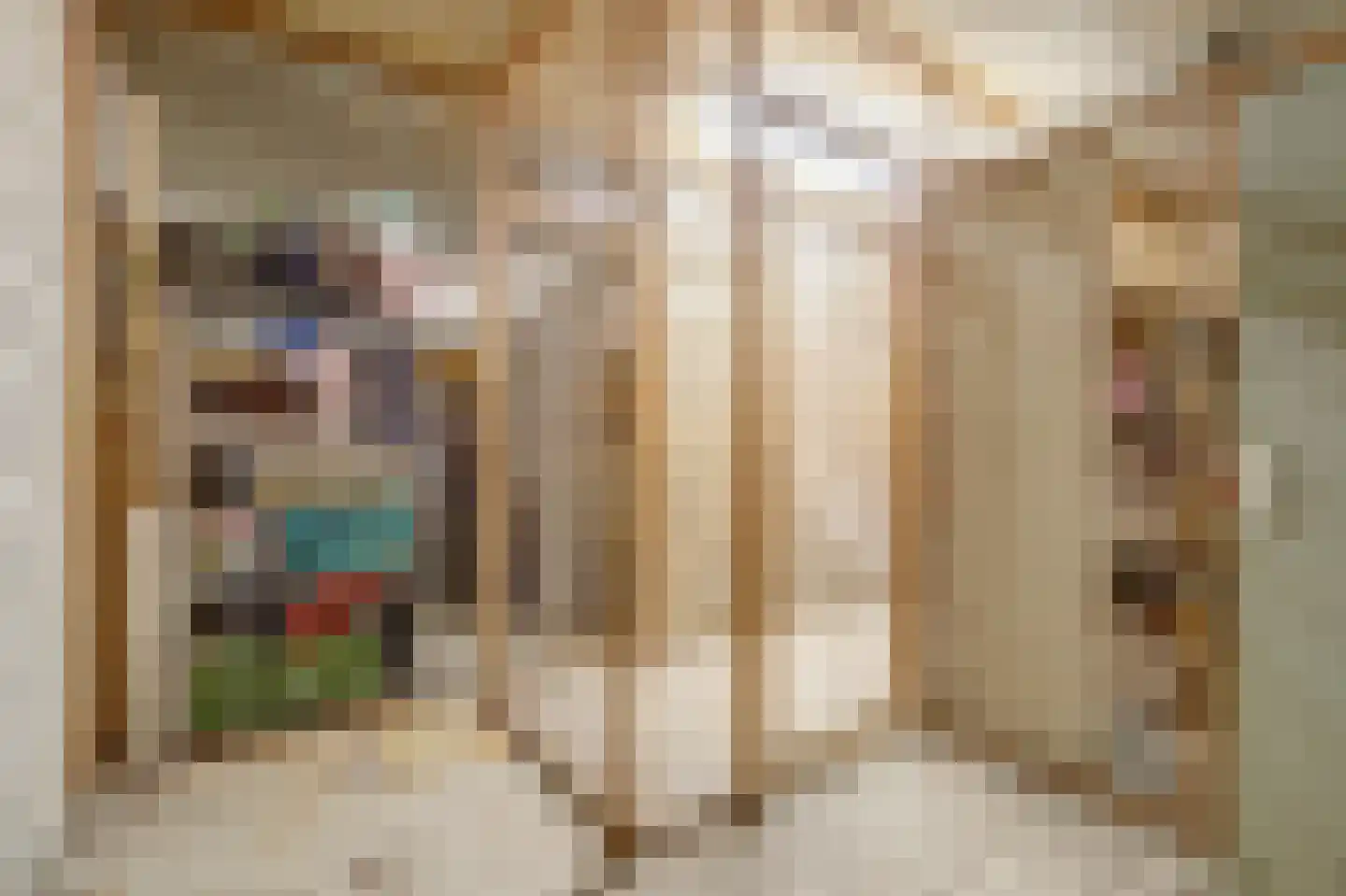 Vlakkers 210 Druten thumbnail 24