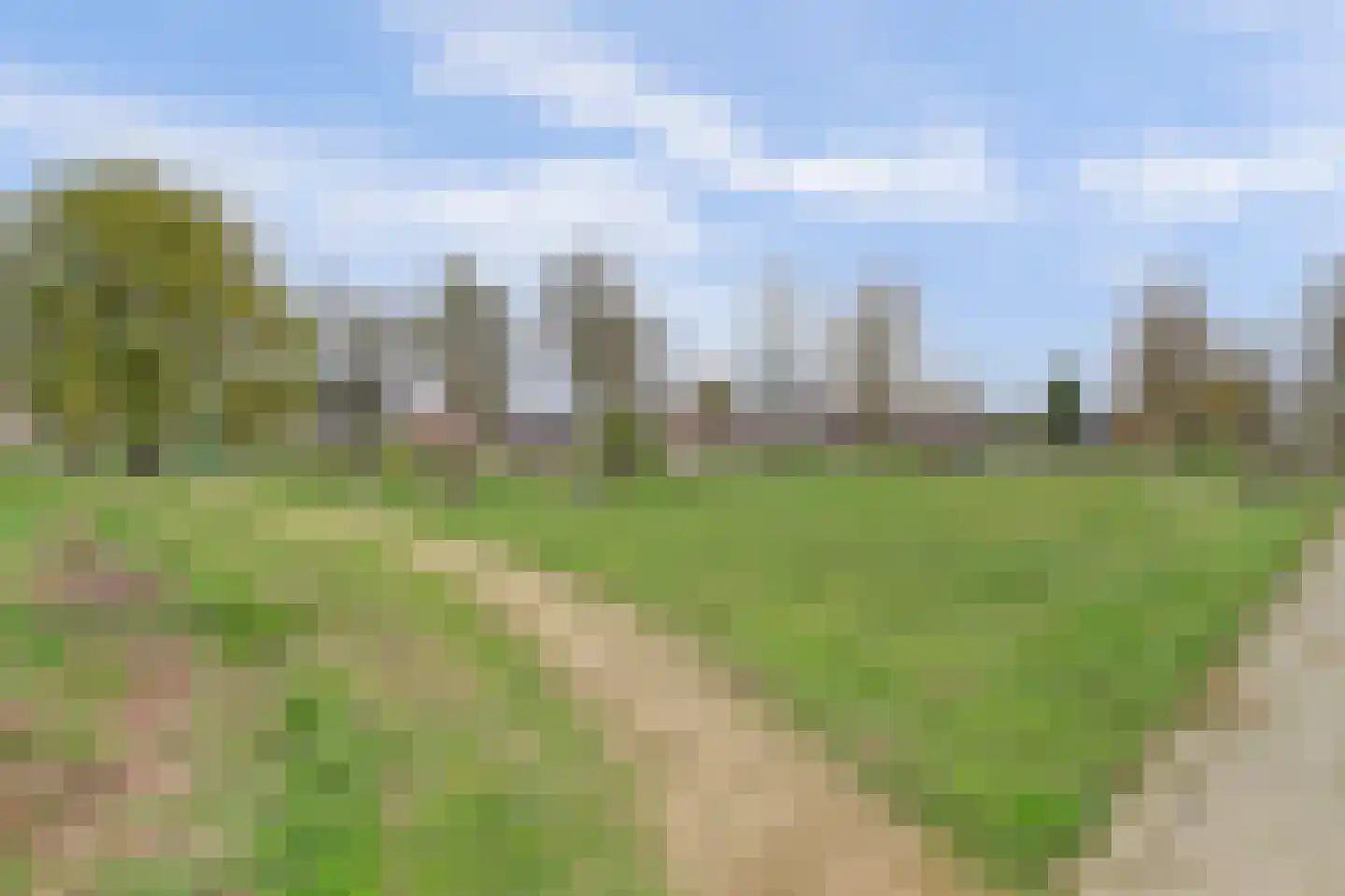 Vlakkers 210 Druten thumbnail 25