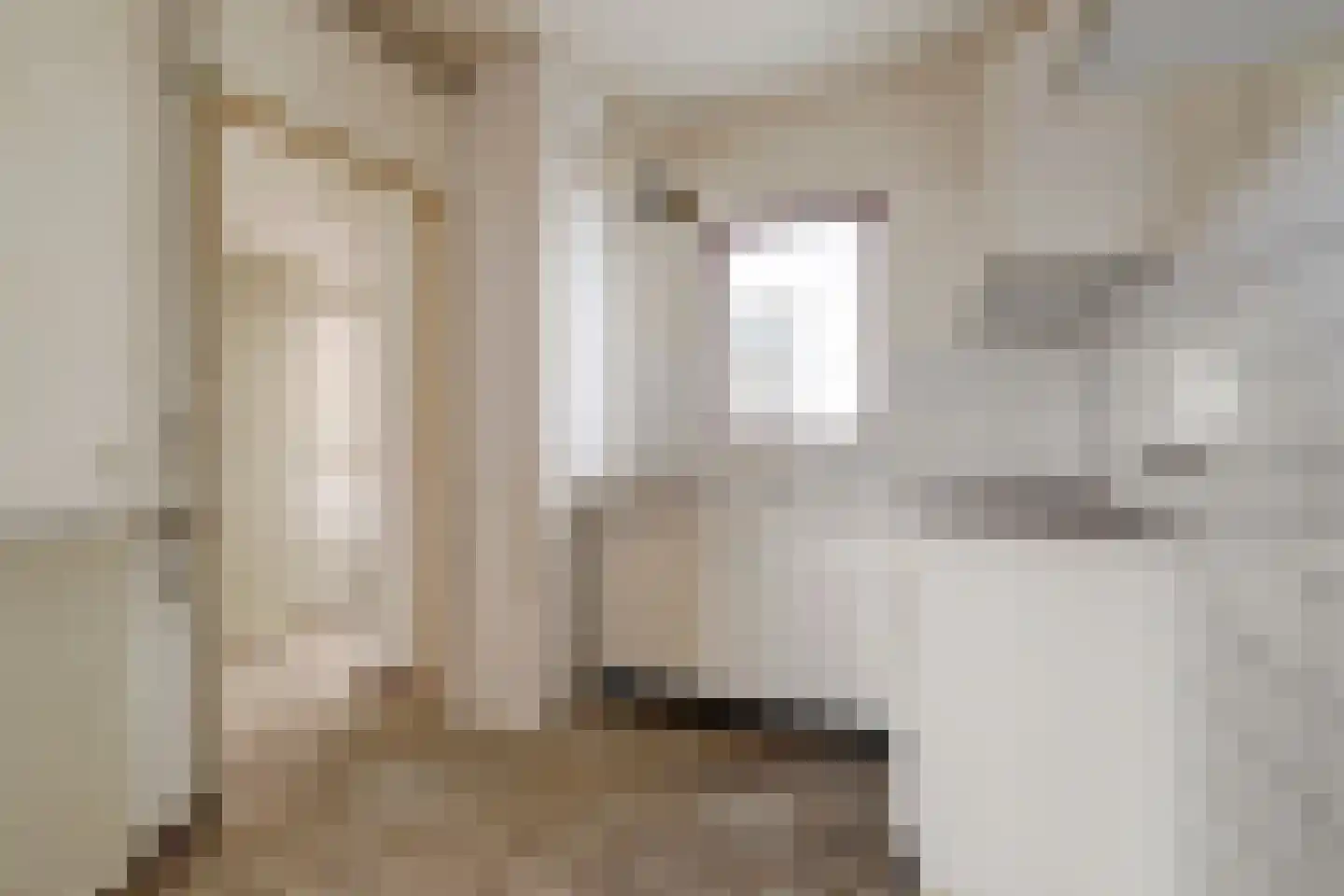 Vlakkers 210 Druten thumbnail 7