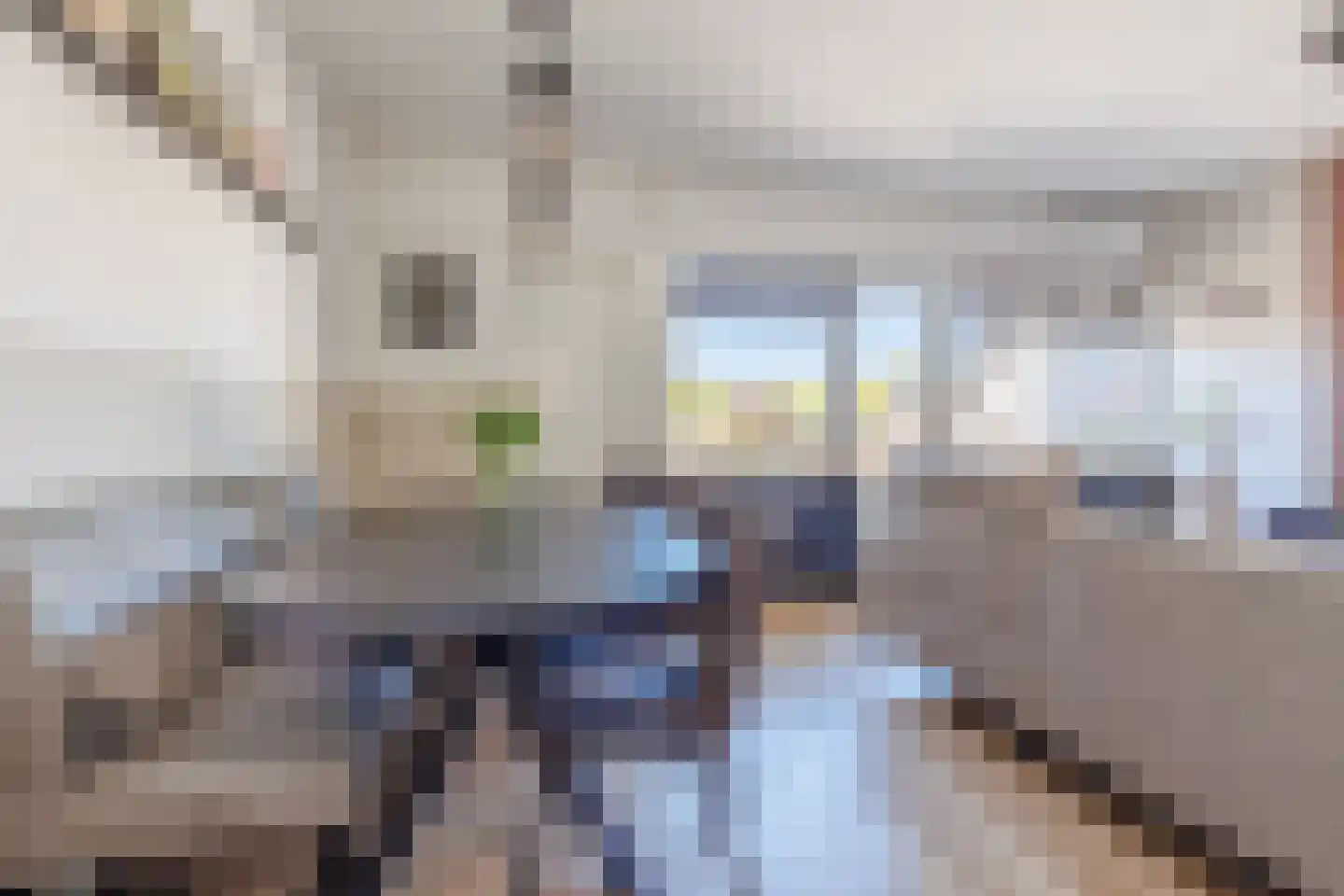 Vlakkers 222 Druten thumbnail 11