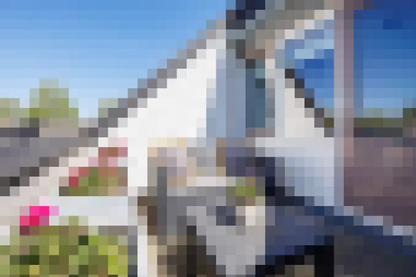 Vlakkers 222 Druten thumbnail 20