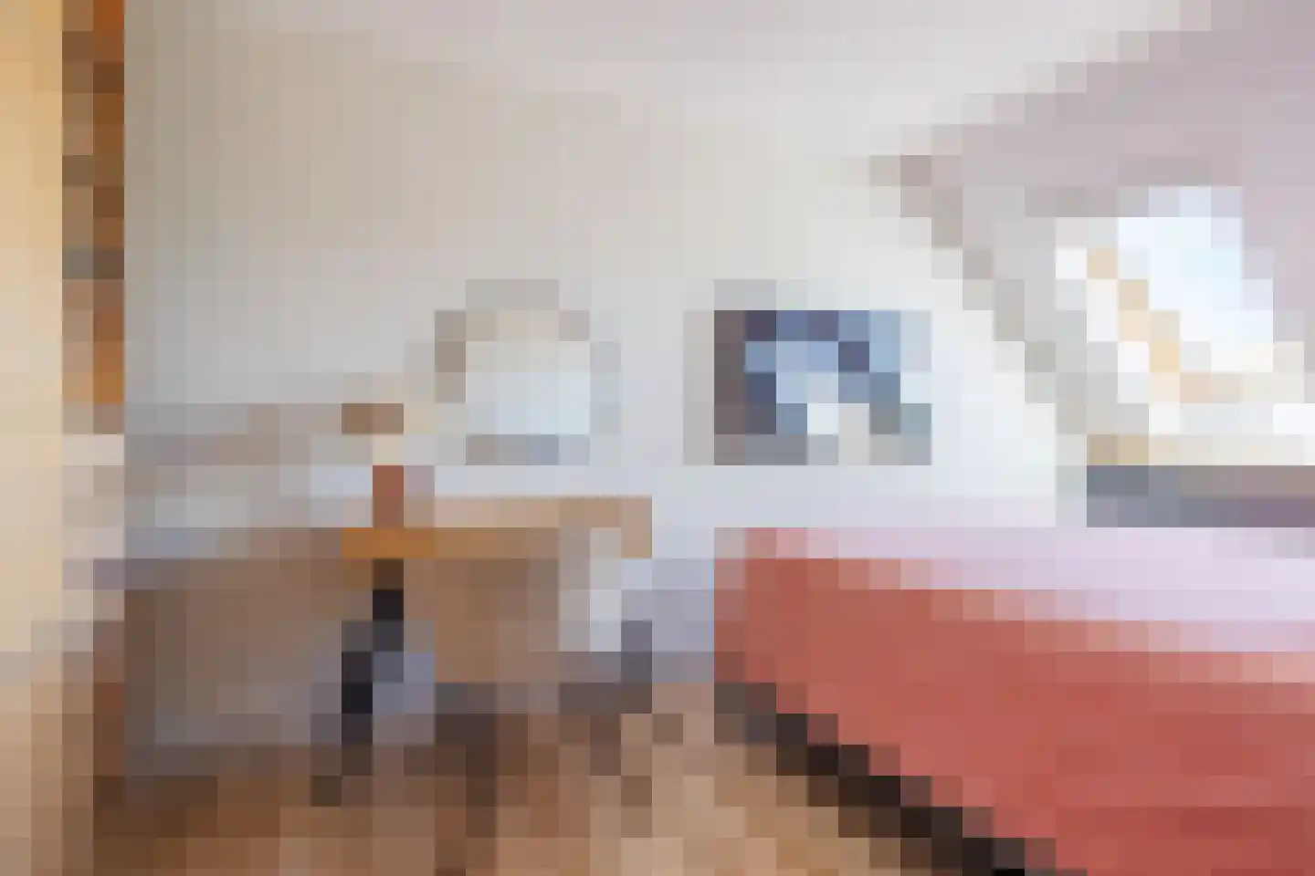 Vlakkers 222 Druten thumbnail 22
