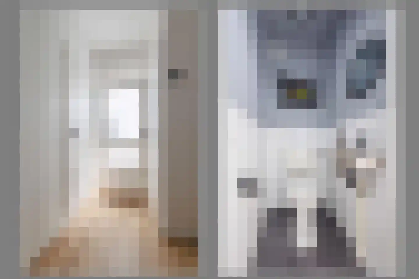 Vlakkers 222 Druten thumbnail 5