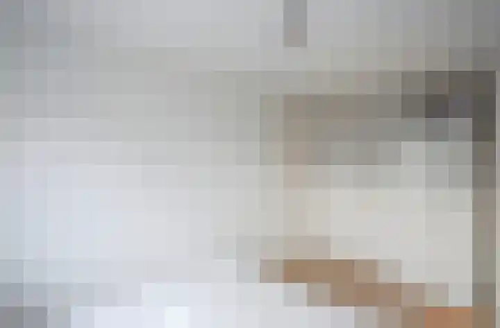 Vlakkers 226 H Druten thumbnail 13