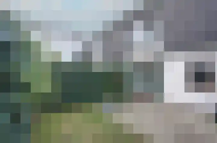 Vlakkers 226 H Druten thumbnail 15