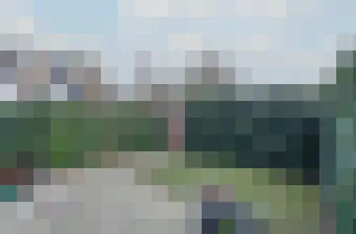 Vlakkers 226 H Druten thumbnail 5