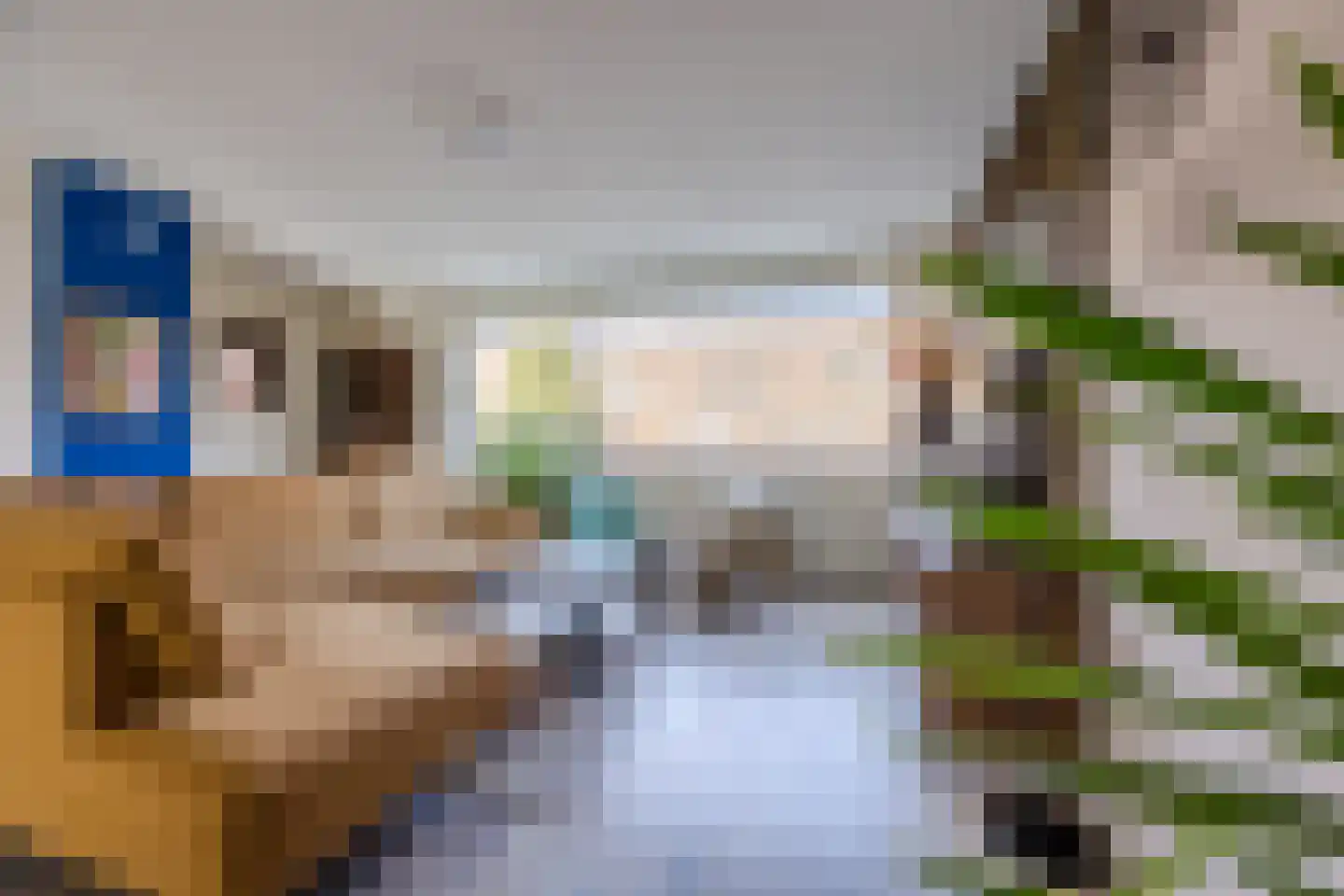 Vlamenburg 208 Den Haag thumbnail 18