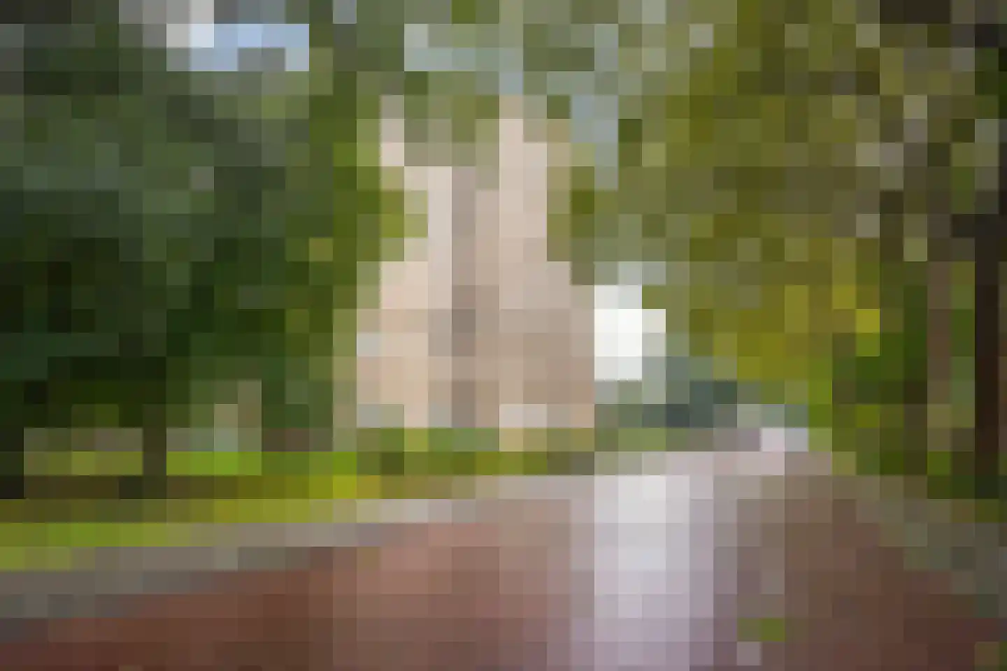 Vlamenburg 63 Den Haag thumbnail 31