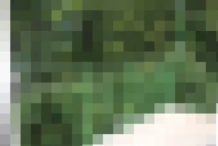 Vlamenburg 73 Den Haag thumbnail 14