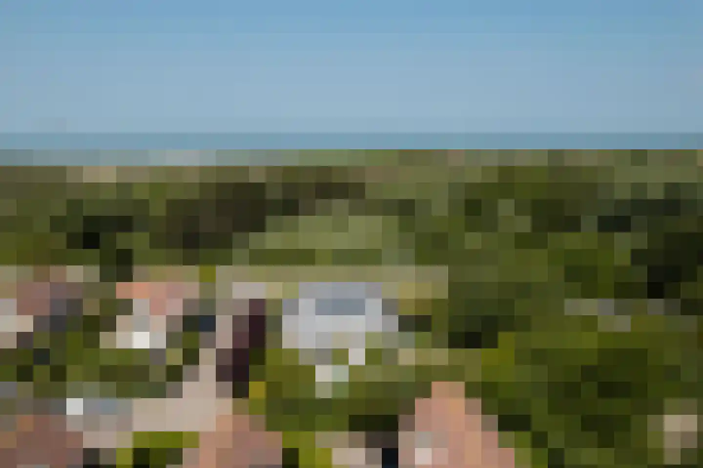 Vlamingpolderweg 18 001 Cadzand thumbnail 41