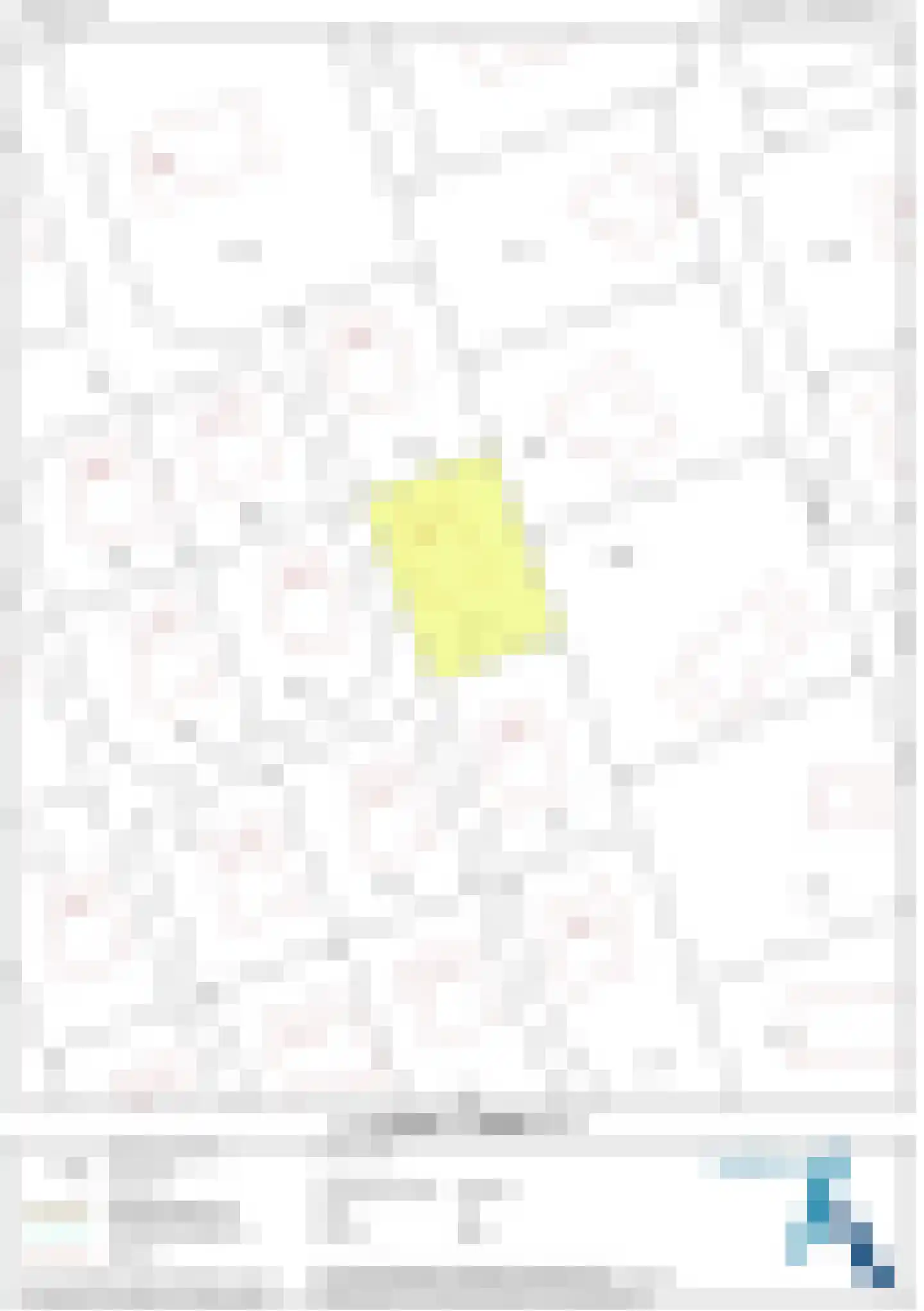 Vlamingpolderweg 18 007 Cadzand thumbnail 37