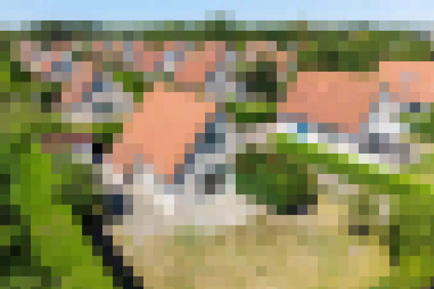 Vlamingpolderweg 18 022 Cadzand thumbnail 7