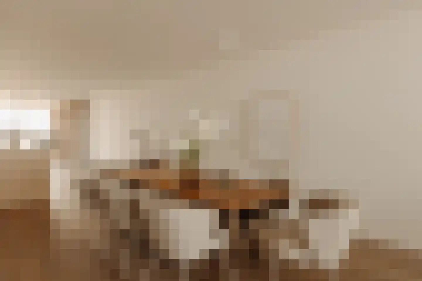 Vlamingpolderweg 3 B 003 Cadzand thumbnail 18