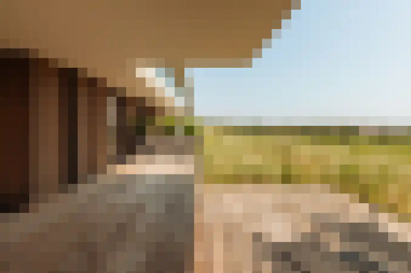 Vlamingpolderweg 3 B 003 Cadzand thumbnail 24
