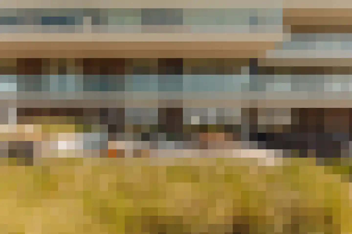 Vlamingpolderweg 3 B 003 Cadzand thumbnail 47