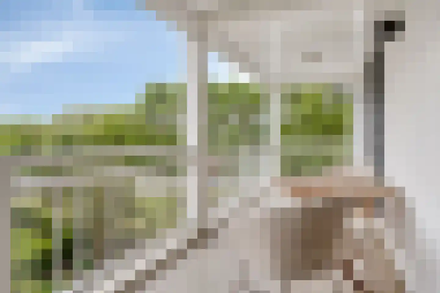 Vlamingpolderweg 4 B 203 Cadzand thumbnail 24