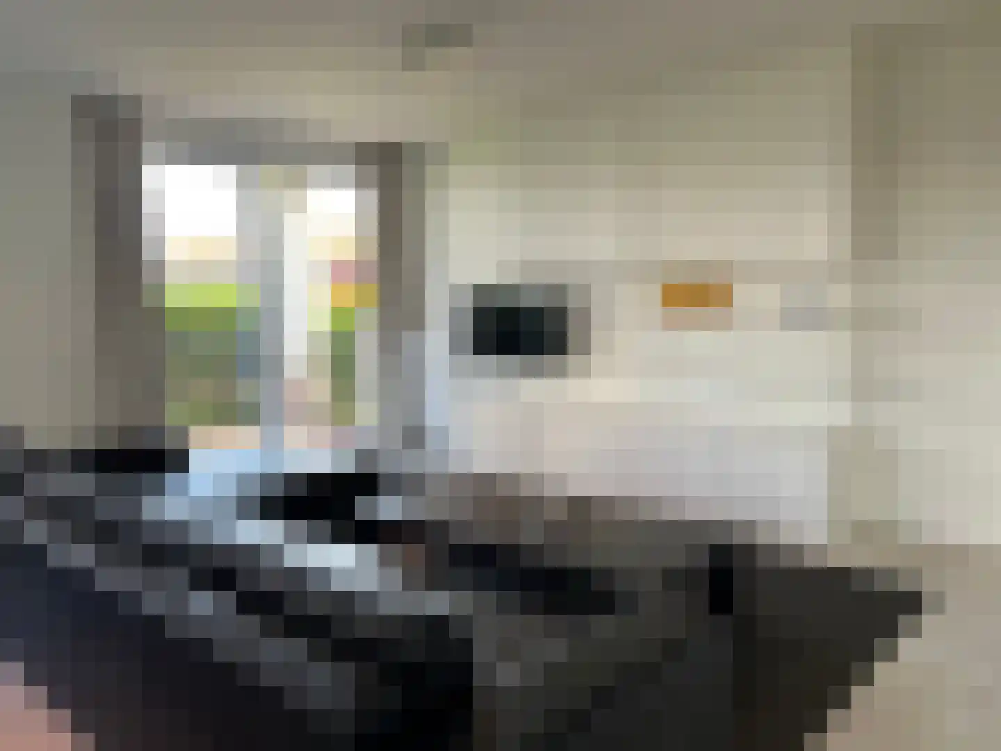 Vlamingpolderweg 4 C 002 Cadzand thumbnail 7