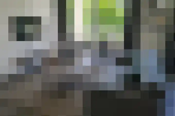 Vlamingpolderweg 4 C 103 Cadzand thumbnail 20