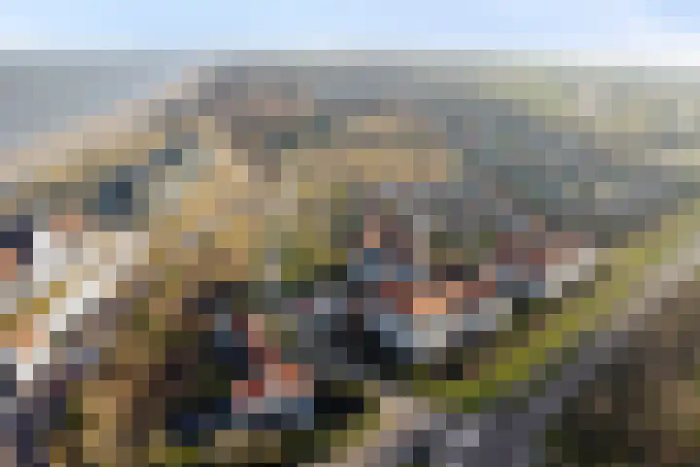 Vlamingpolderweg 4 C 301 Cadzand thumbnail 36