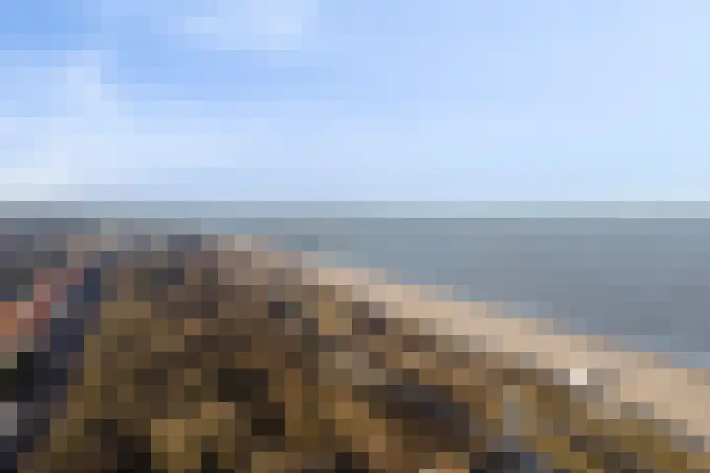 Vlamingpolderweg 4 C 301 Cadzand thumbnail 43