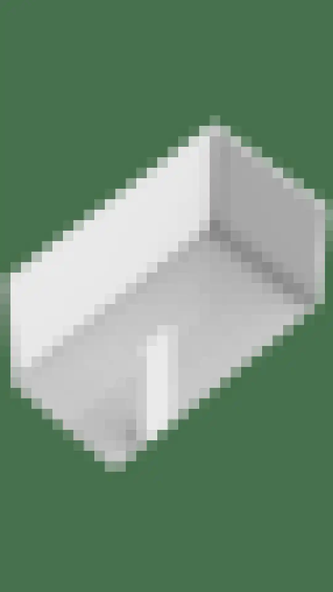 Vlamingpolderweg 4 C 301 Cadzand thumbnail 50