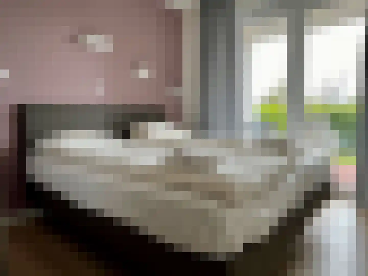 Vlamingpolderweg 4 D 003 Cadzand thumbnail 17