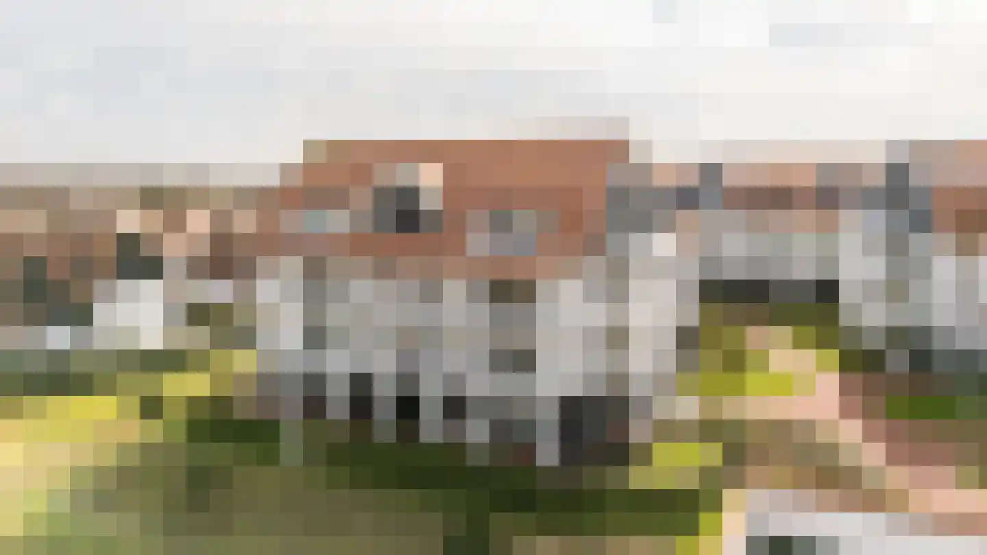 Vlamingpolderweg 4 E 301 Cadzand thumbnail 31