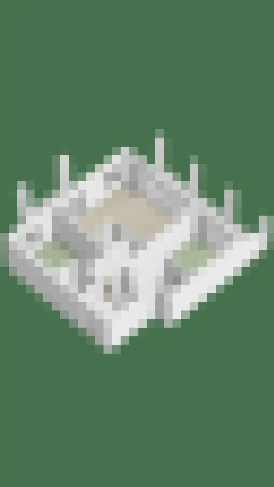 Vlamingpolderweg 4 E001 Cadzand thumbnail 36