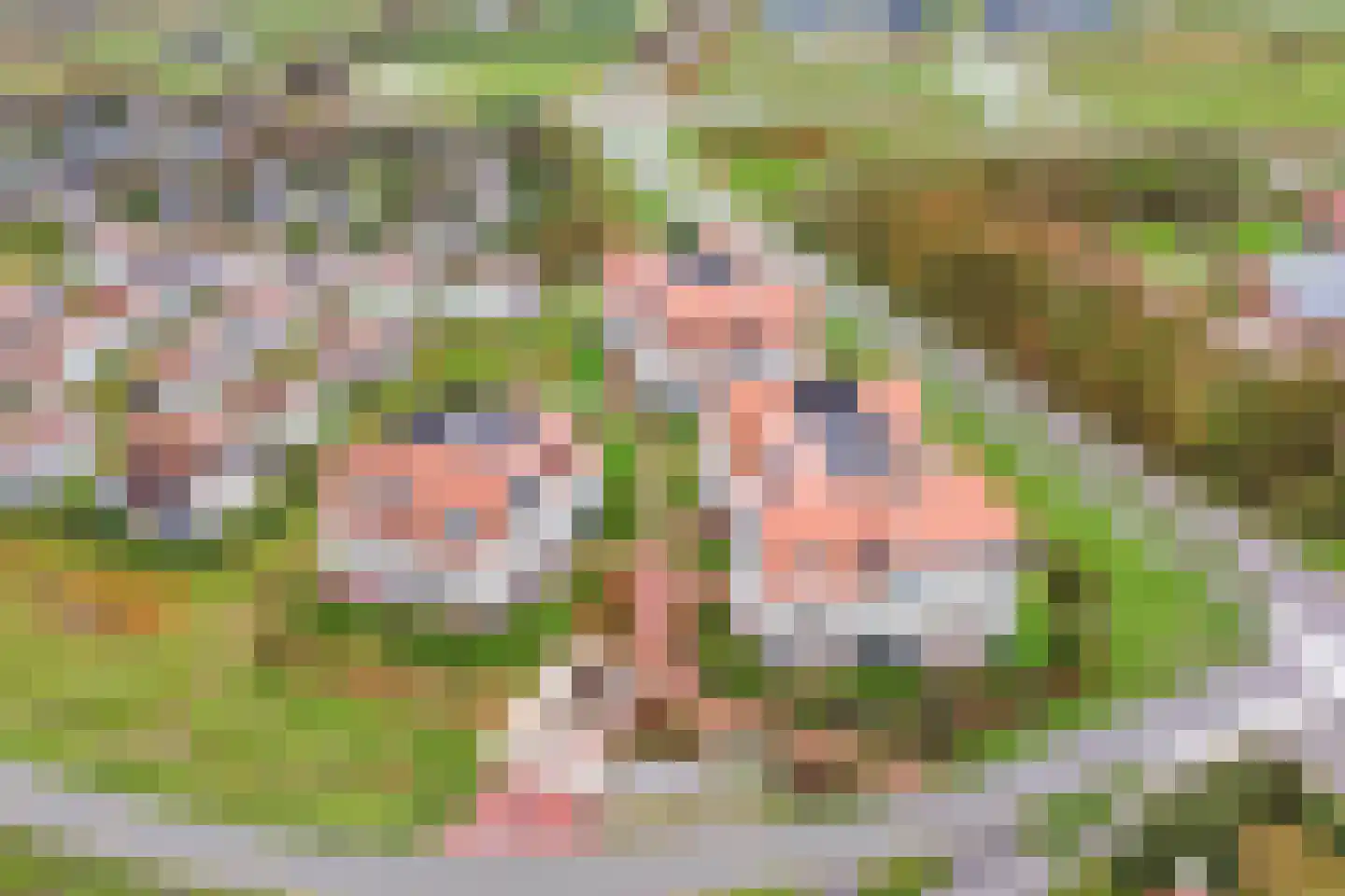 Vlamingpolderweg 4 E001 Cadzand thumbnail 4