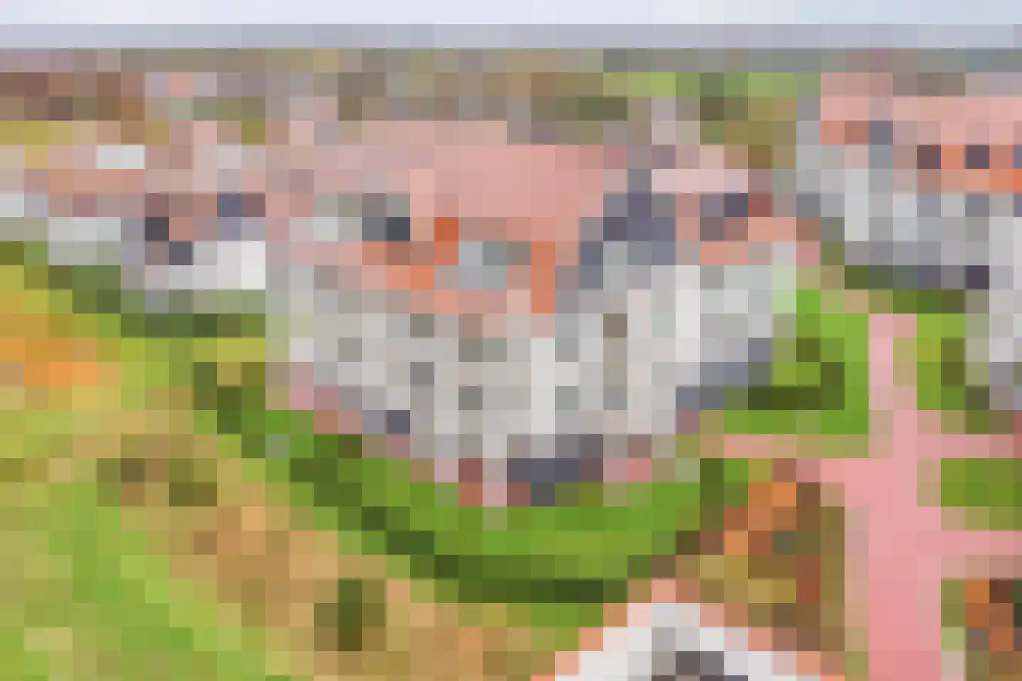 Vlamingpolderweg 4 E001 Cadzand thumbnail 5