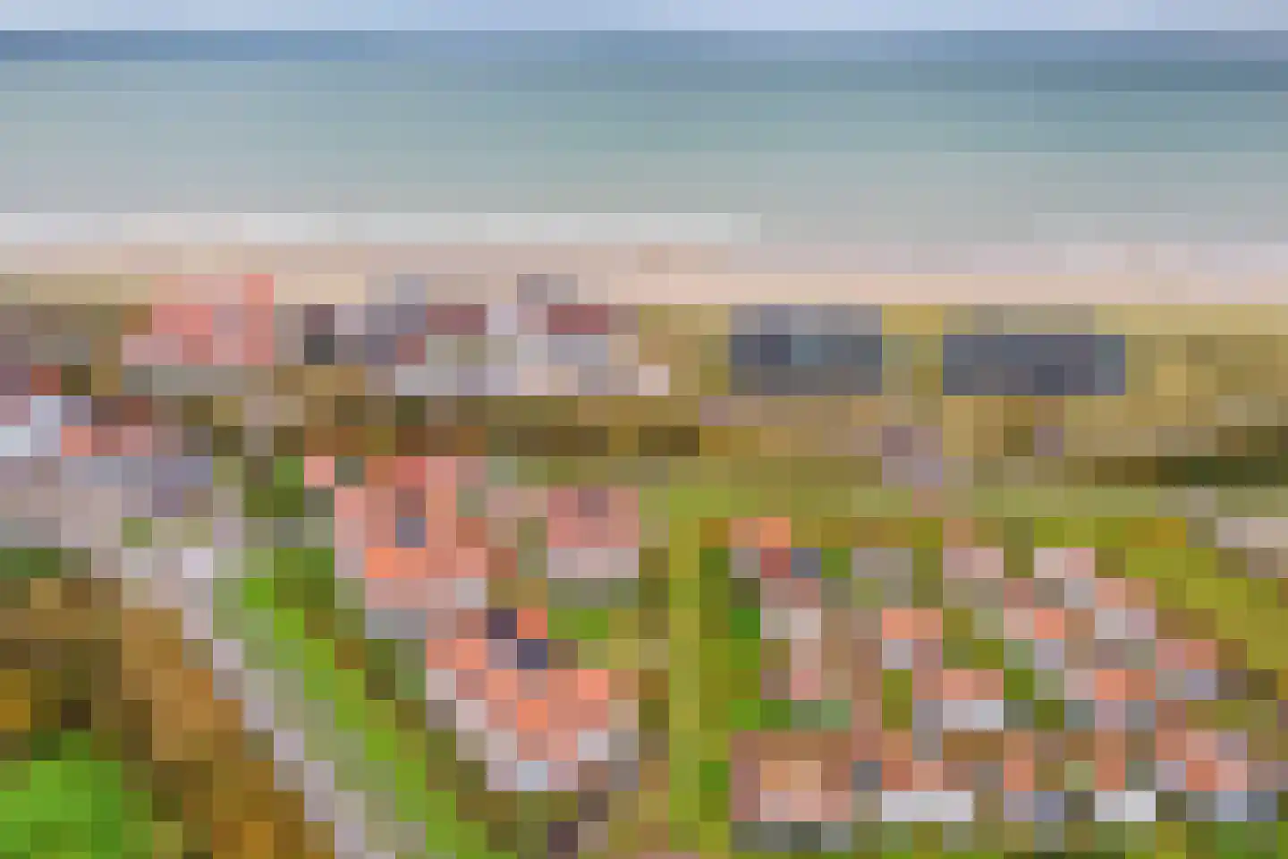 Vlamingpolderweg 4 E001 Cadzand thumbnail 6