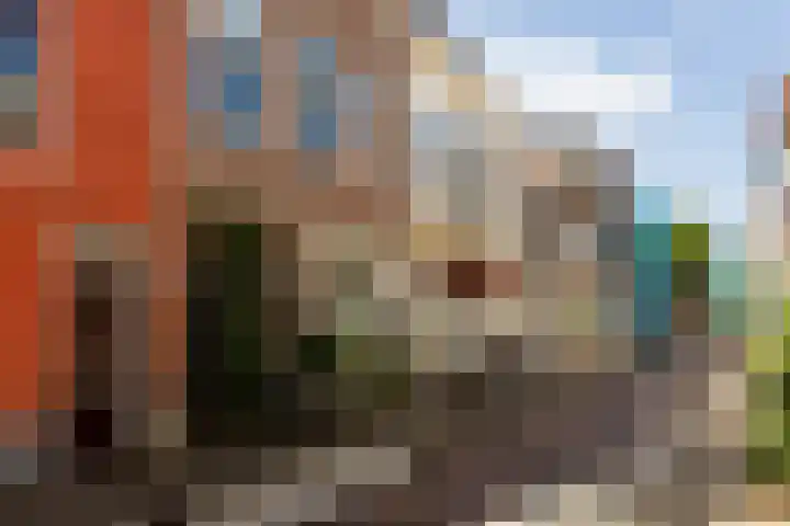 Vlamingstraat 17 a Gouda thumbnail 47