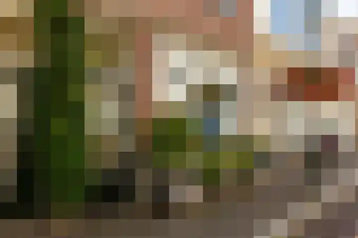 Vlamingstraat 17 a Gouda thumbnail 6